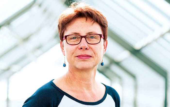 Angelika Hilbeck (original)