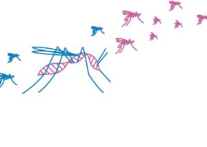 Logo für Gene Drive Slider