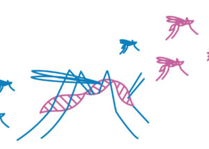 Gene Drive Projekt Bild