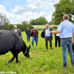 Grasland-Wiese-Menschen-Kuh-@Kohlschütter-2